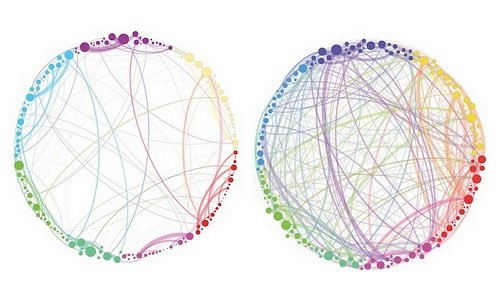 רשתות תקשורת במוח תחת השפעת פסילוסיבין