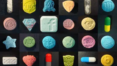 MDMA - עד יומיים בדם ו-3 ימים בשתן