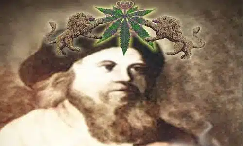 בתמונה: כריכת הספר "Cannabis Chassidis" ("חסידי הקנאביס")