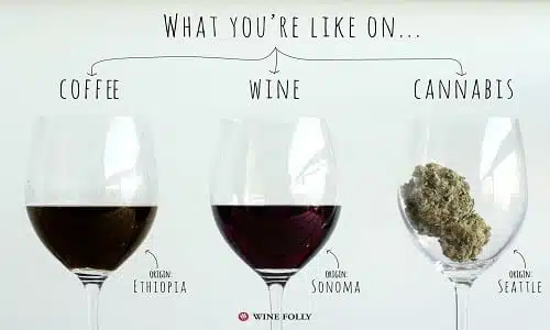 המוח שלכם על קנאביס, יין וקפה