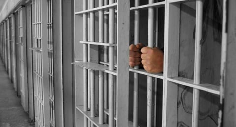 אליין פרינס פטרון - מאסר עולם על החזקת מריחואנה