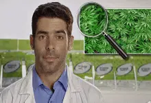 לראשונה בישראל: סרטון הדרכה למשתמש המתחיל בנושא קנאביס רפואי