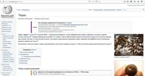 ויקיפדיה רוסיה צ'אראס חשיש