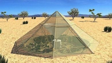 אוהל לגידול יבולים חקלאיים בתנאי מדבר קיצוניים