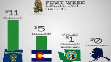 מכירות קנאביס בשבוע הראשון - השוואה בין וושינגטון קולורדו ואורגון