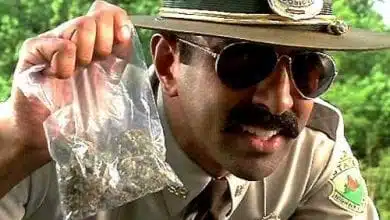 שוטר מחזיק שקית מריחואנה
