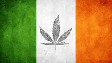 דגל אירלנד עם עלה קנאביס