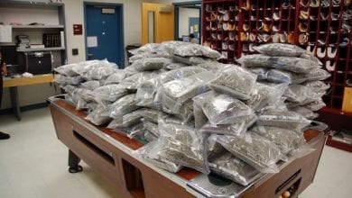 50 ק"ג של מריחואנה שנגנבו מחדר ראיות משרד השריף בעיר טנהא בטקסס, ארה"ב