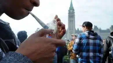 קנדה, צעירים מעשנים קנאביס (נתונים: שימוש צעירים בשפל של 12 שנים)