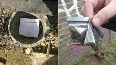 המשטרה בלונדון גונבת לסוחרים חומר - "באסה לכם" (משטרה, לונדון, אנגליה)