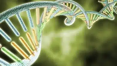 סליל גנטי של DNA - צמח קנאביס (מחקר גנטי קנאביס)