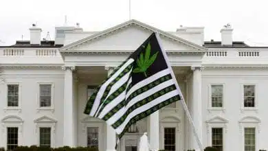 דגל ארה"ב מריחואנה מול הבית הלבן