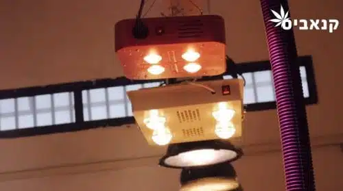 נורות לד LED בחנות אינטגרל הידרופוניקס באר שבע