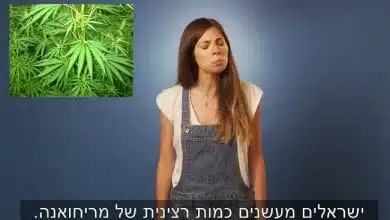רני גרינשפן - הבדלים מריחואנה ישראל קנדה