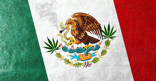 מקסיקו - מוצא המריחואנה, שנקראת גם "סינסה" ו-"צ'ורו"