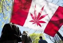 דגל קנדה עם עלה קנאביס - לגליזציה בקנדה