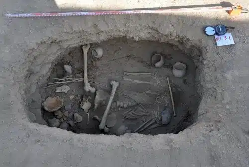 שרידי קנאביס עתיקים בני 2,500 נמצאו בסין על ידי ארכיאולוגים