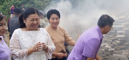 שריפת מריחואנה תאילנד