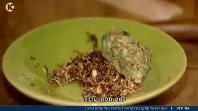 פרח קנאביס קססה טבק