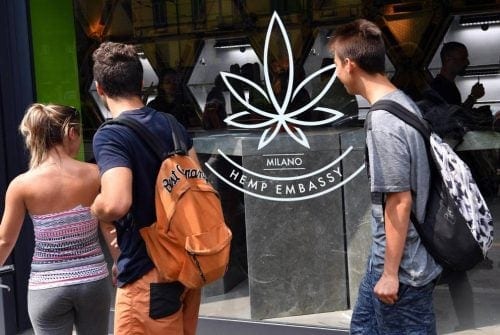 Cannabis Plant Store Италия