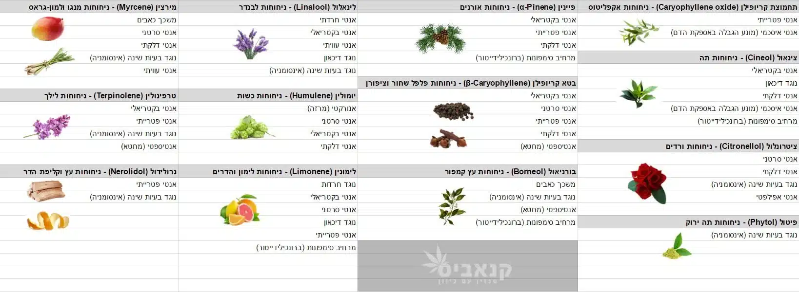 טרפנים בקנאביס