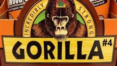 the Gorila Glue logo