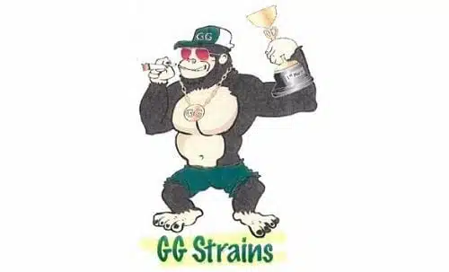 the GG-strains-trademark