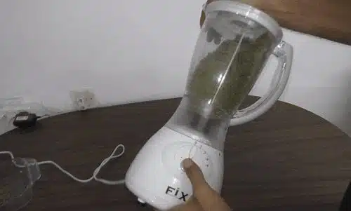 קנאביס גרוס במיקסר