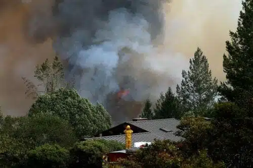 שריפות קנאביס קליפורניה