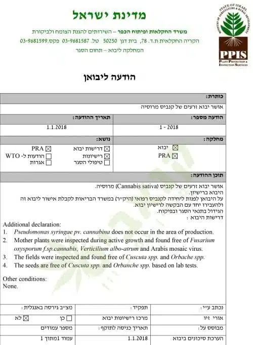 אישור ייבוא זרעי קנאביס מרוסיה לישראל