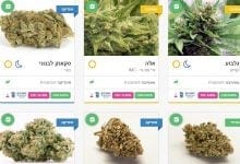 לראשונה זני הקנאביס הישראליים עם נתוני רכיבים פעילים מדויקים