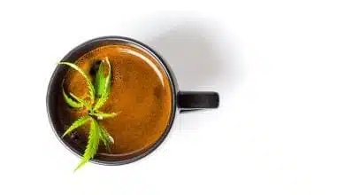 קפה קנאביס