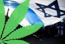 70 שנות מאבק ללגליזציה: הרגעים הגדולים בהיסטוריית הקנאביס של ישראל