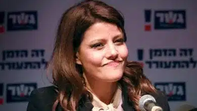 אורלי לוי (צילום: פלאש90)