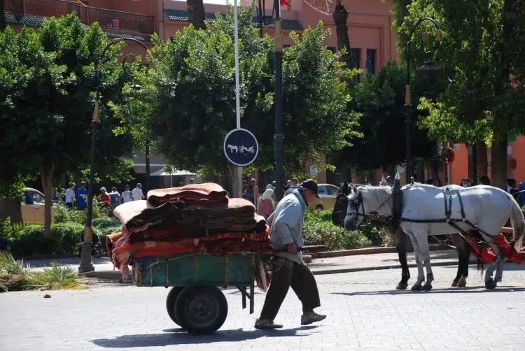 איש עם עגלה ברחובותיה של מרוקו