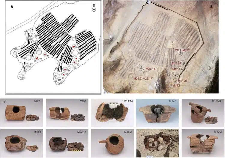 ממצאי הארכיאולוגים בחפירות בקבר ג'ירזנקל במערב סין