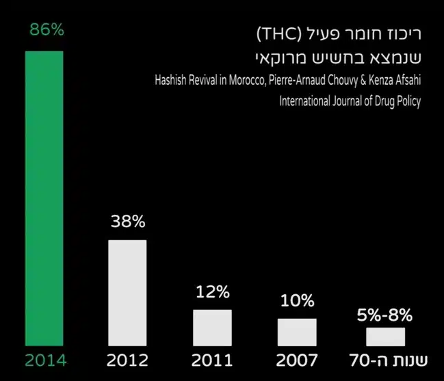 ריכוז THC מקסימלי שנמצא בחשיש מרוקאי