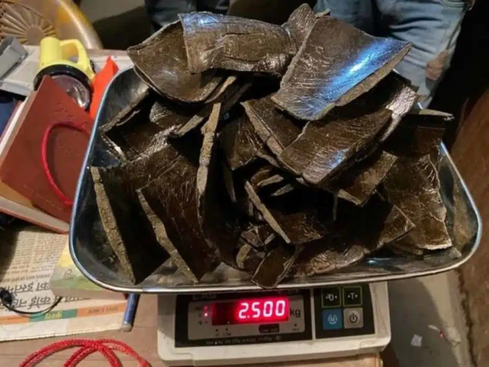 ג'אראס מנאלי ישראלי נעצר