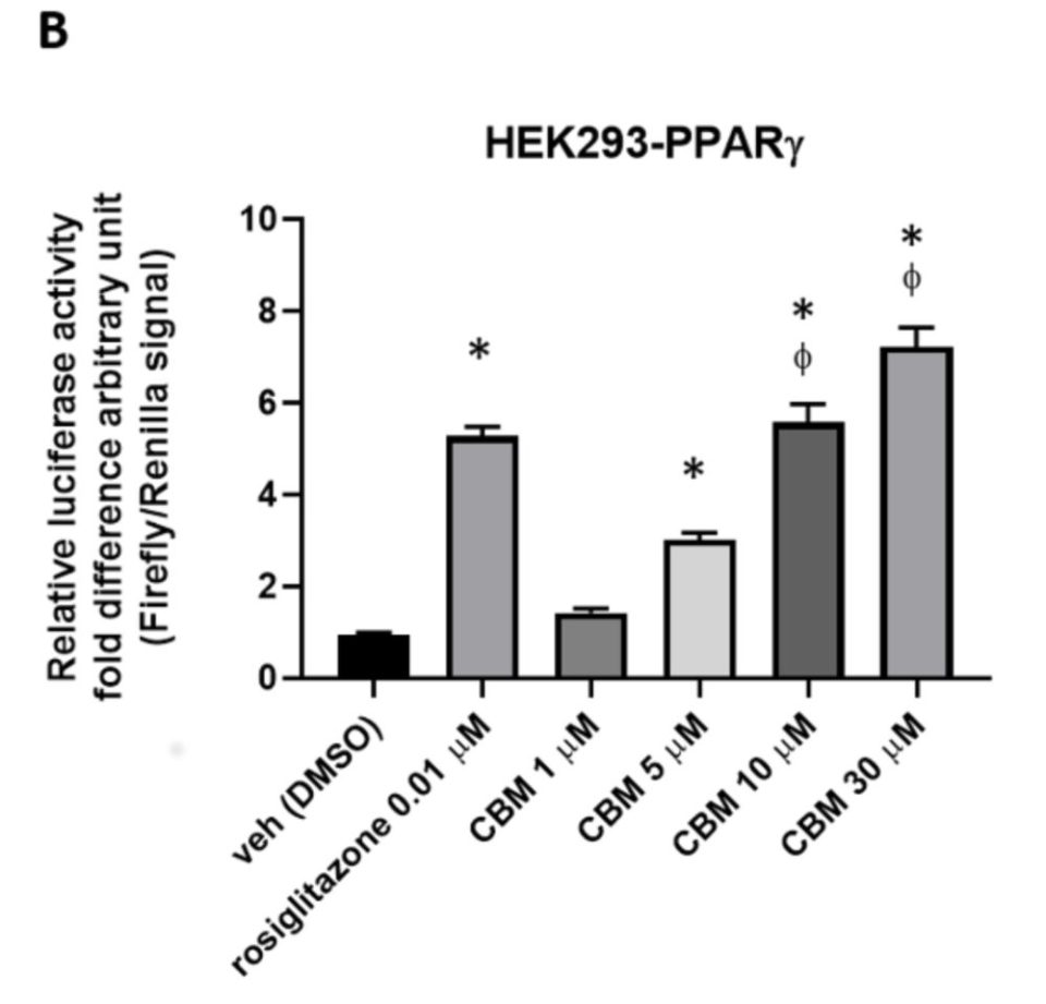 השוואה של עוצמת ההפעלה של קולטן PPARγ על ידי התרופה רוזיגליטזון, ועל ידי ריכוזים שונים של הקנבינואיד CBM