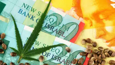 שטרות כסף ישראל קנאביס