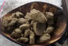 יש ג'אראס כשר? מסע בשדות הקנאביס של הודו