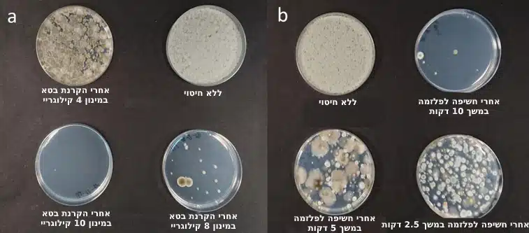 ריכוזי עובש בדגימות של קנאביס שהודבק באופן מלאכותי בעובש מסוג בוטריטיס - ללא טיפולי חיטוי ואחרי טיפולי חיטוי שונים