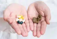 רופאה מחזיקה בידיים קנאביס מול תרופות