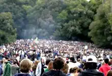 סקר: 25% מהאמריקאים צרכו קנאביס בשנה האחרונה