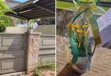 למה פעילי לגליזציה הניחו ג'וינט בביתו של העיתונאי בן כספית?