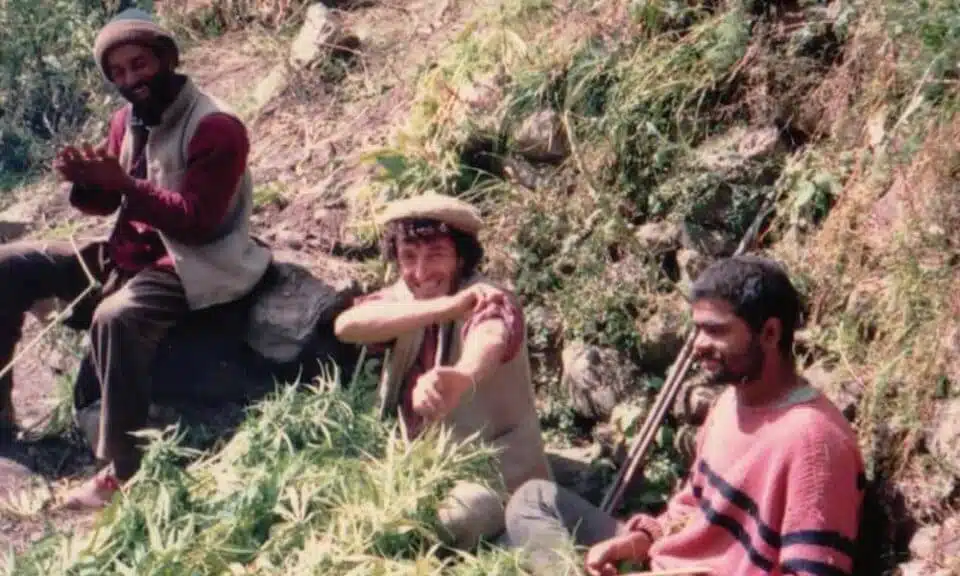 פרנצי קאנולי במלאנה בעמק פרוואטי שבהודו