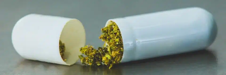 קפסולות מלאות פרחי קנאביס משופעלים (אחרי דה קרבוקסילציה)