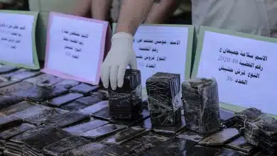 כוחות הביטחון של חמאס מציגים חשיש שנתפס מתחילת השנה (צילום: אטיה מוחמד, פלאש90)
