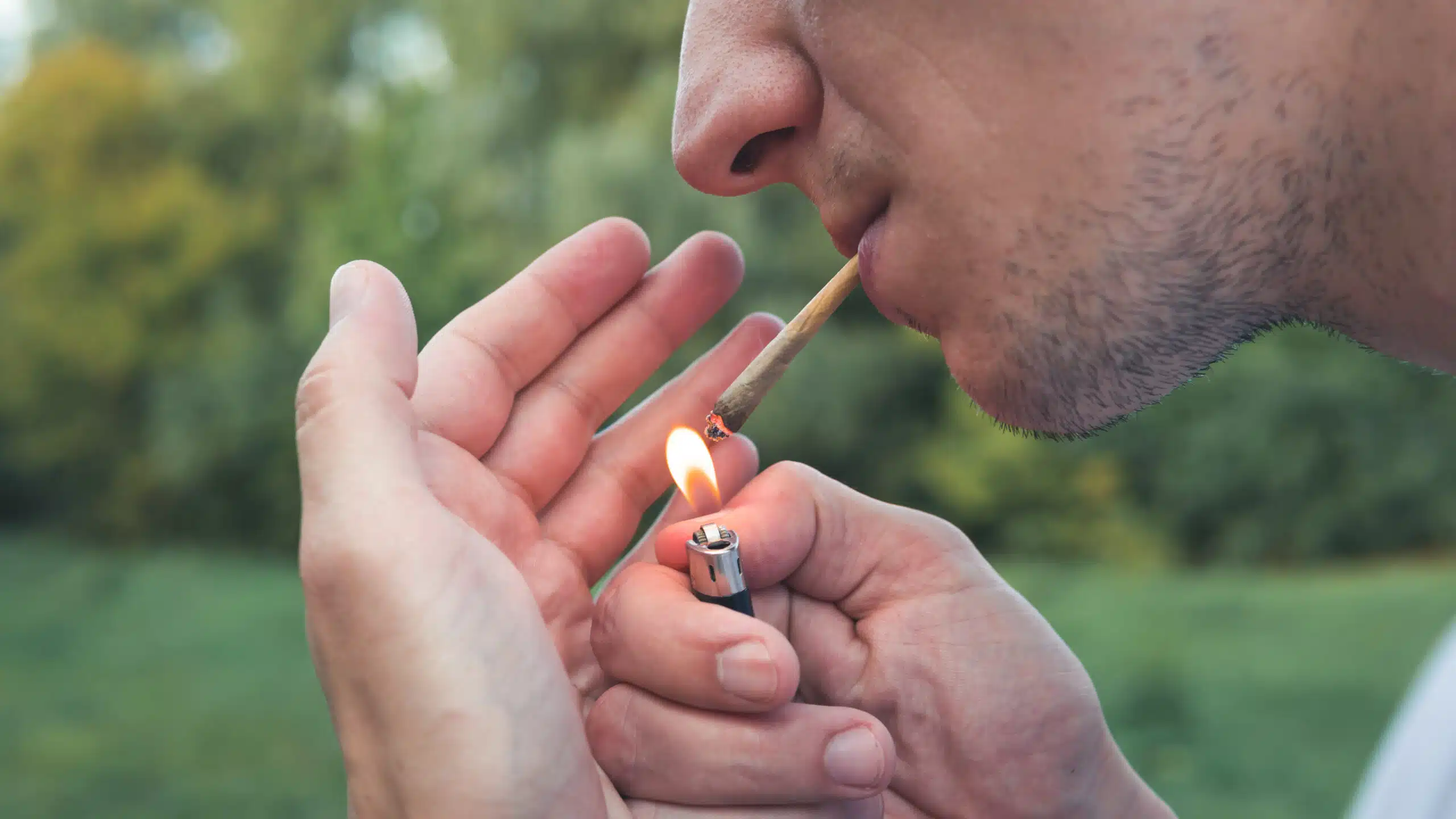 מחקר: הכפלת מינון ה-THC בג'וינט לא מכפילה את ההיי
