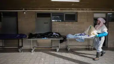 העונש על סחר בקנאביס: עבודות שירות בחברה קדישא